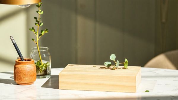 Top cadeaux d'entreprise écolos et responsables à offrir